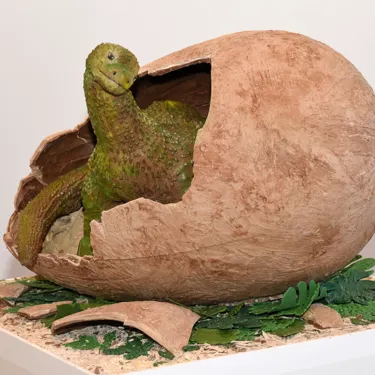 Dino In Egg 2193