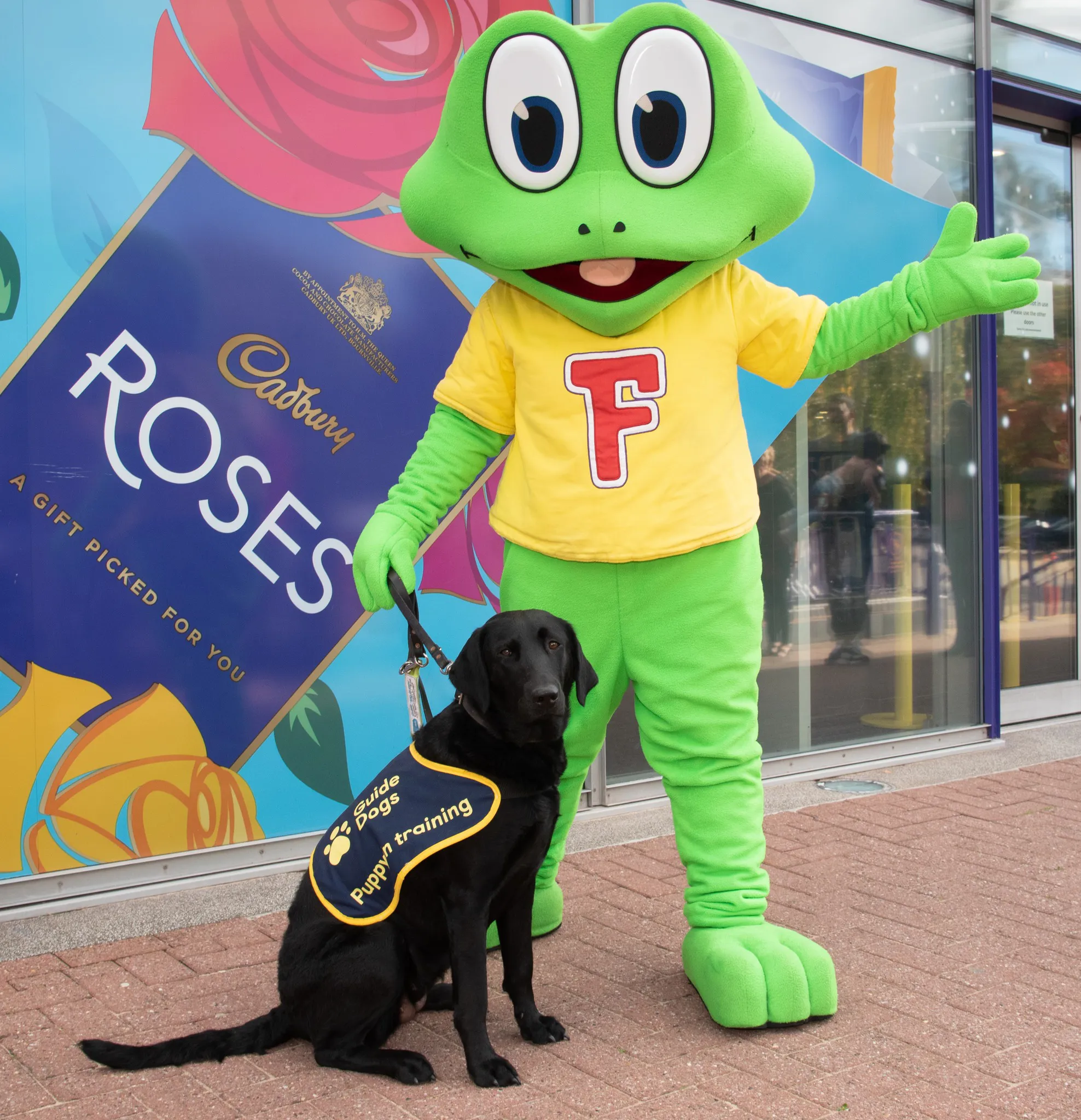 Guide Dog